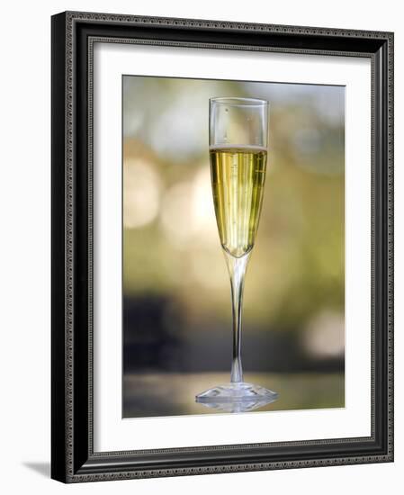 Flute of Champagne-Katano Nicole-Framed Photo