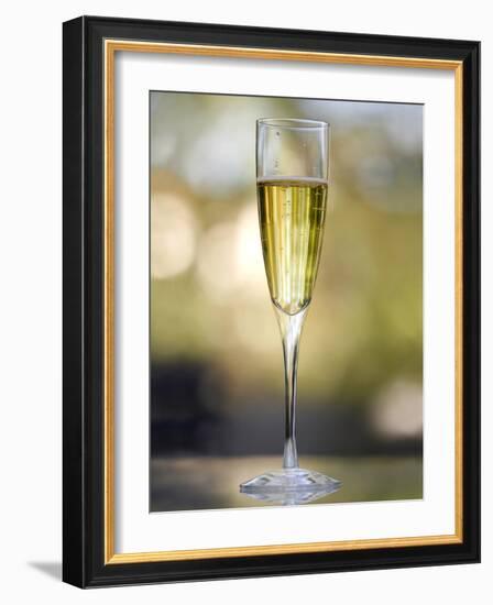 Flute of Champagne-Katano Nicole-Framed Photo