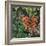 Flutter - Comma Butterfly on Japonica-Kirstie Adamson-Framed Giclee Print
