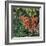 Flutter - Comma Butterfly on Japonica-Kirstie Adamson-Framed Giclee Print