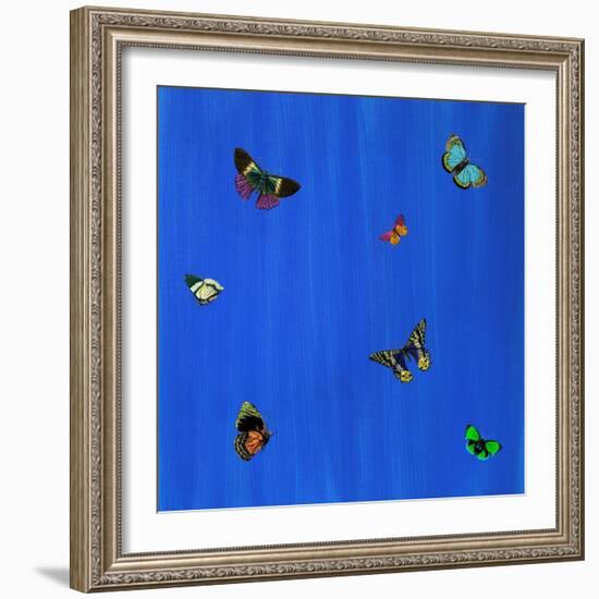 Flutter I-null-Framed Giclee Print