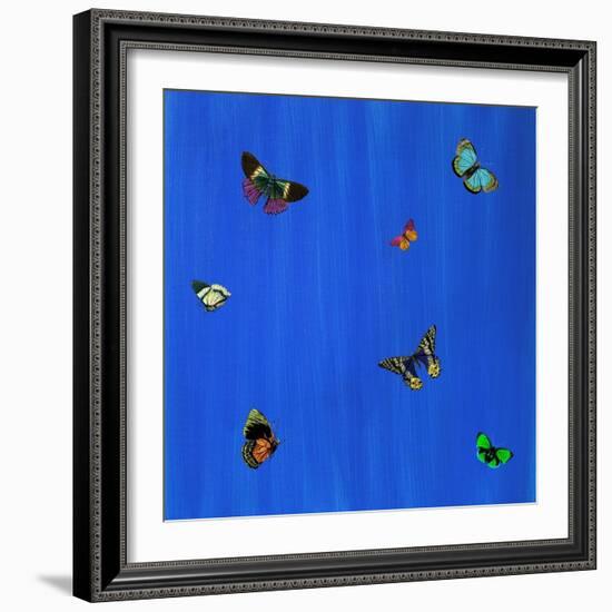 Flutter I-null-Framed Giclee Print