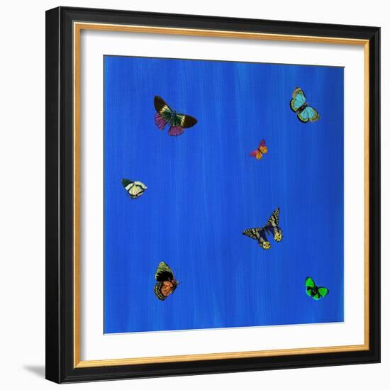 Flutter I-null-Framed Giclee Print