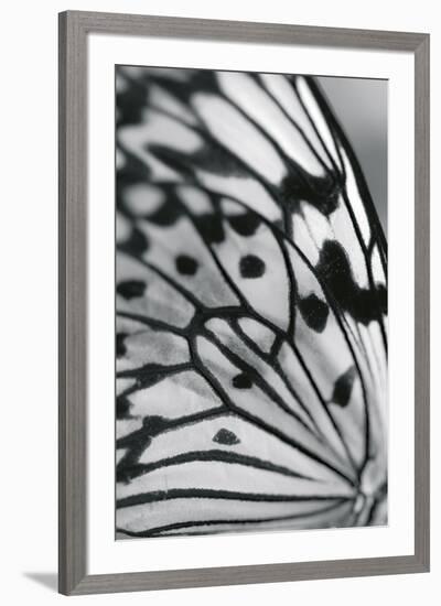 Flutter-Ella Lancaster-Framed Giclee Print