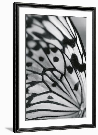 Flutter-Ella Lancaster-Framed Giclee Print