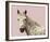 Flutterby Horse - Rest-Irene Suchocki-Framed Giclee Print