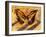 Flutterby-Whoartnow-Framed Giclee Print