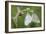 Fluttering Duet-Staffan Widstrand-Framed Giclee Print