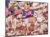 Fluttering fabrics, Textile Museum, Oaxaca, Mexico, North America-Melissa Kuhnell-Mounted Photographic Print