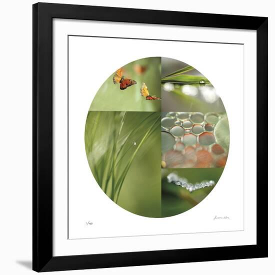 Fluttering Spring Circle-Florence Delva-Framed Giclee Print