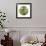 Fluttering Spring Circle-Florence Delva-Framed Giclee Print displayed on a wall