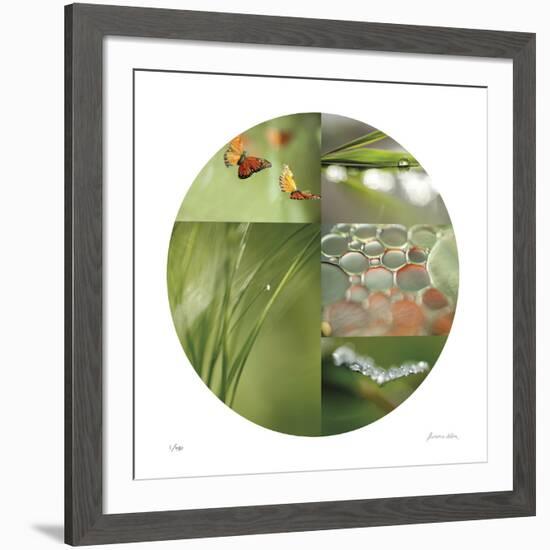 Fluttering Spring Circle-Florence Delva-Framed Giclee Print