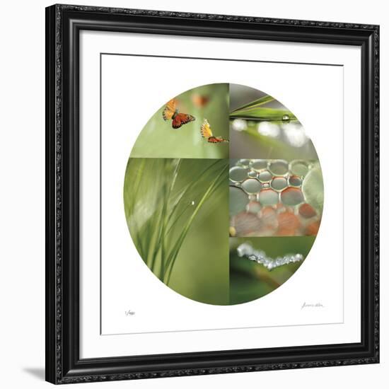 Fluttering Spring Circle-Florence Delva-Framed Giclee Print