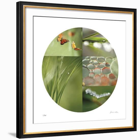 Fluttering Spring Circle-Florence Delva-Framed Giclee Print