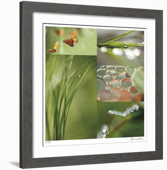 Fluttering Spring-Florence Delva-Framed Giclee Print