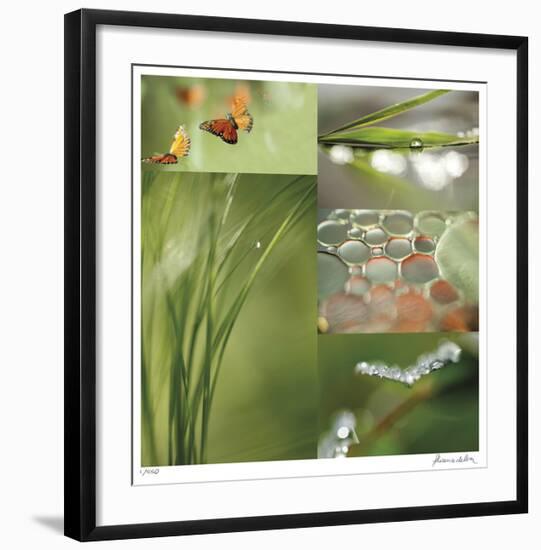 Fluttering Spring-Florence Delva-Framed Giclee Print