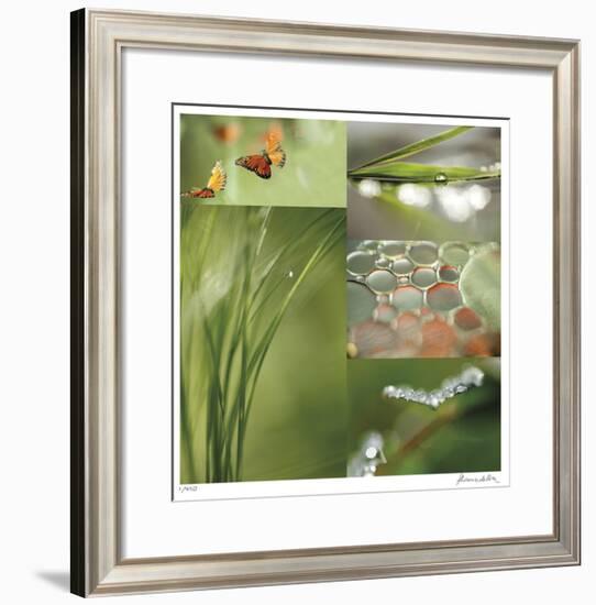 Fluttering Spring-Florence Delva-Framed Giclee Print