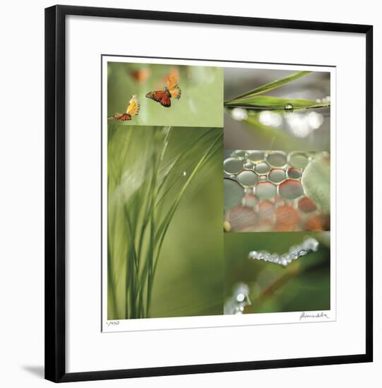 Fluttering Spring-Florence Delva-Framed Giclee Print