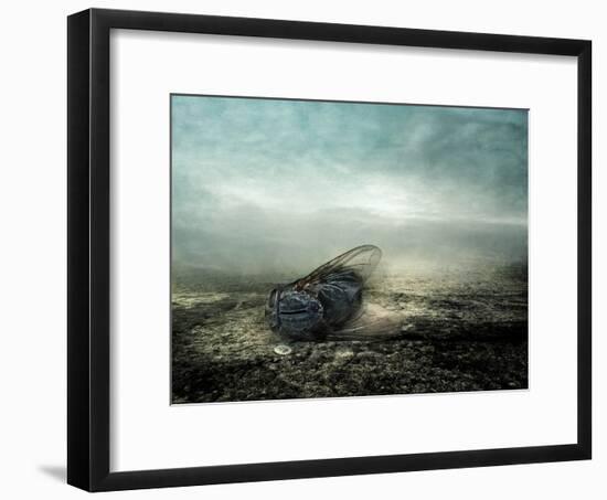 Fly, 2013-Johan Lilja-Framed Giclee Print