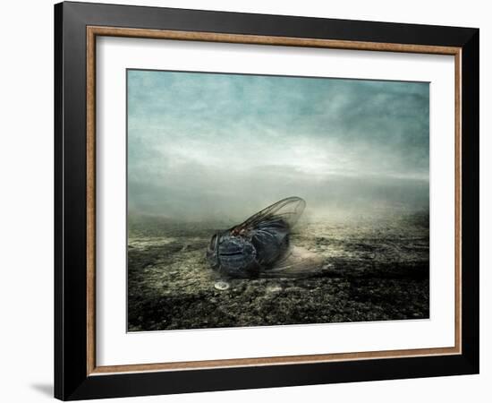 Fly, 2013-Johan Lilja-Framed Giclee Print