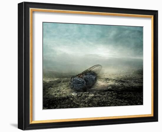 Fly, 2013-Johan Lilja-Framed Giclee Print