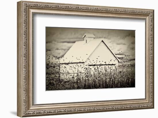 Fly Away-Trent Foltz-Framed Art Print