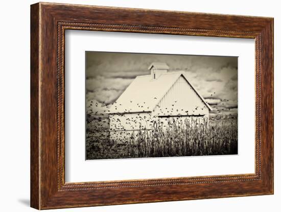 Fly Away-Trent Foltz-Framed Art Print