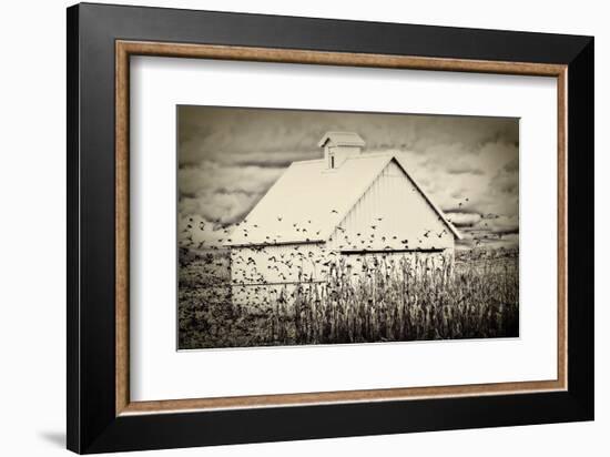 Fly Away-Trent Foltz-Framed Art Print