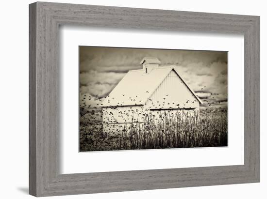 Fly Away-Trent Foltz-Framed Art Print