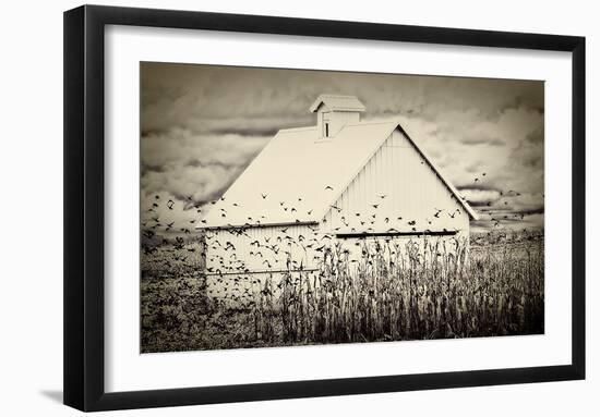 Fly Away-Trent Foltz-Framed Art Print