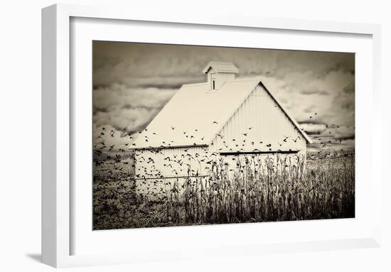 Fly Away-Trent Foltz-Framed Art Print