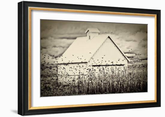 Fly Away-Trent Foltz-Framed Art Print