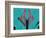 Fly Blueprint-Belen Mena-Framed Giclee Print