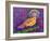 Fly catcher-Jane Tattersfield-Framed Giclee Print