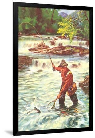 NATIVE　A FLY FISHER'S VIEW A FLY FISHER'S VIEW: Aquatic Insect Album / Kenshiro
