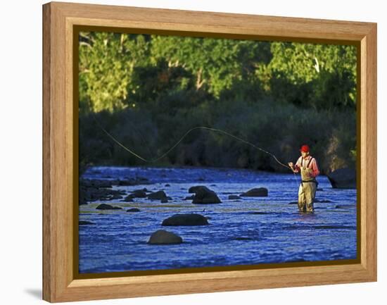 Fly Fisherman, USA-null-Framed Premier Image Canvas