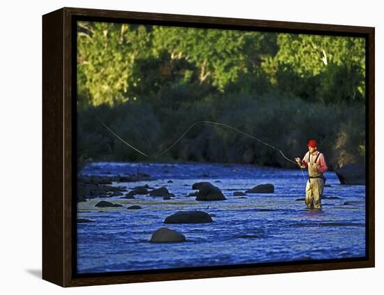 Fly Fisherman, USA-null-Framed Premier Image Canvas