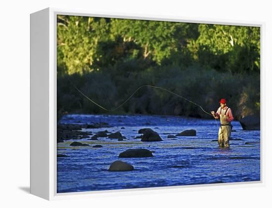 Fly Fisherman, USA-null-Framed Premier Image Canvas