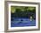 Fly Fisherman, USA-null-Framed Photographic Print