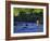 Fly Fisherman, USA-null-Framed Photographic Print