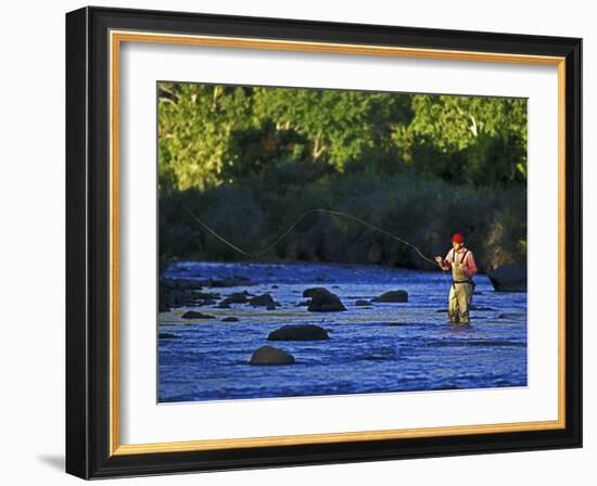 Fly Fisherman, USA-null-Framed Photographic Print