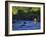 Fly Fisherman, USA-null-Framed Photographic Print