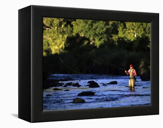 Fly Fisherman-null-Framed Premier Image Canvas