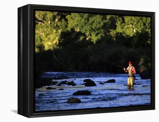 Fly Fisherman-null-Framed Premier Image Canvas