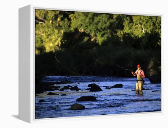 Fly Fisherman-null-Framed Premier Image Canvas