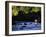 Fly Fisherman-null-Framed Photographic Print