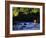 Fly Fisherman-null-Framed Photographic Print