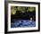 Fly Fisherman-null-Framed Photographic Print