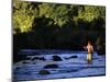 Fly Fisherman-null-Mounted Photographic Print