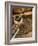 Fly Fishing Equipment-Tom Grill-Framed Photographic Print